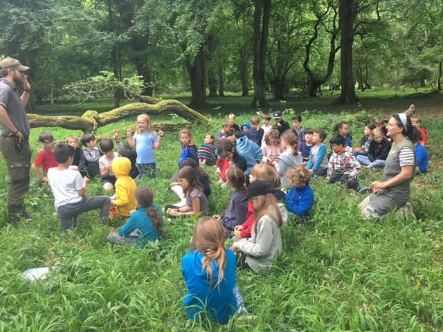 students sat in the grass